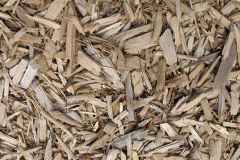 biomass boilers Beckfoot